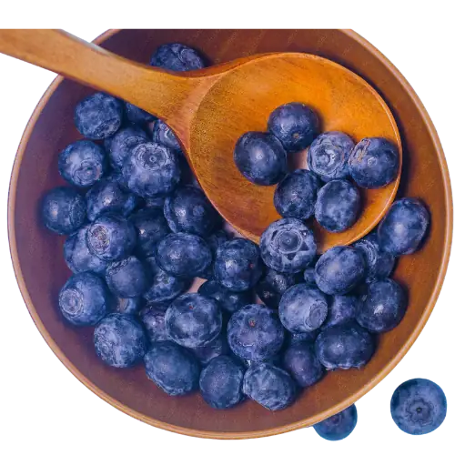 Blueberry image