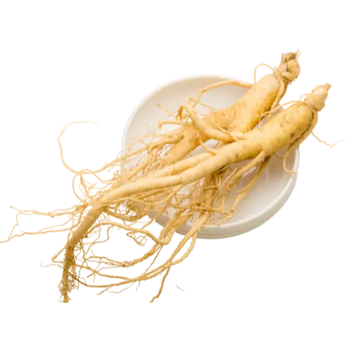 Ginseng image